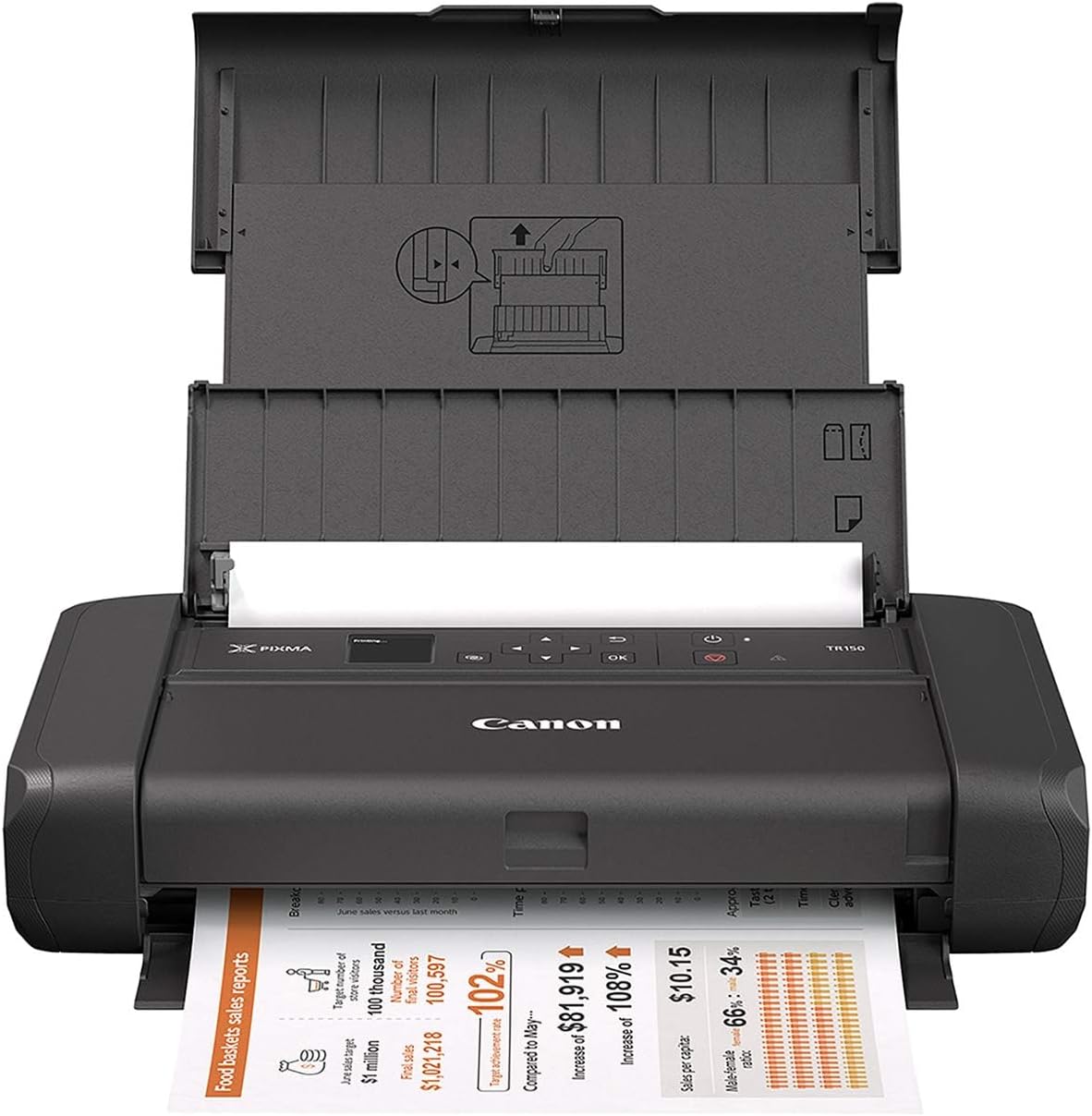 Canon PIXMA TR150 printer, one type of Canon sublimation printer